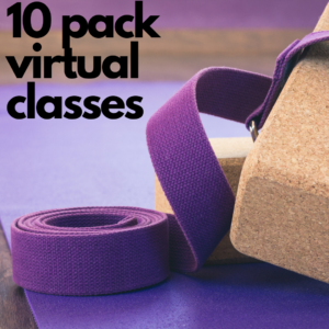 10 Pack - Virtual Classes
