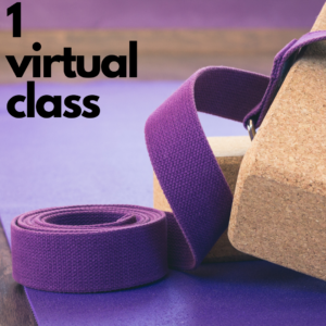 1 Virtual Class